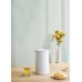Xiaomi Electric Kettle 2