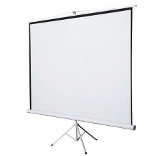 100 projector screen with stand